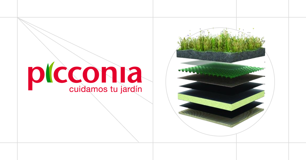 Picconia, jardinería y paisajismo en Tacoronte